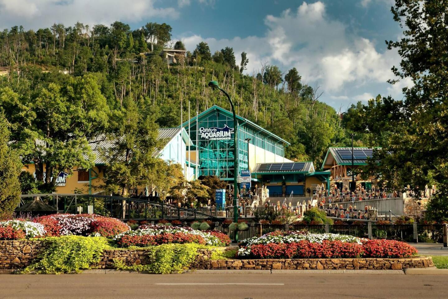 Views I Mins To Dollywood I Hot Tub I Pool Table Villa Sevierville Exterior foto